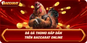 Đá Gà Thomo Hấp Dẫn Trên Baccarat Online