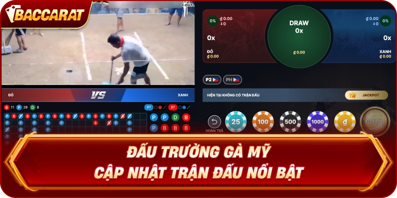 Đấu Trường Gà Mỹ cập nhật trận đấu nổi bật