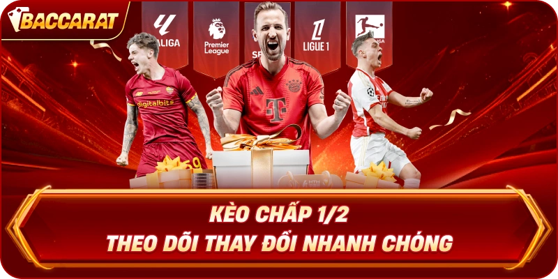 Kèo Chấp 1/2  theo dõi thay đổi nhanh chóng