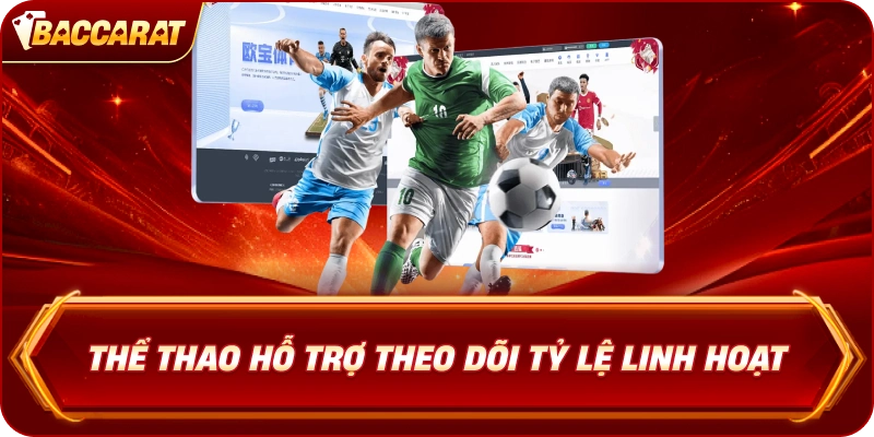 Thể Thao hỗ trợ theo dõi tỷ lệ linh hoạt